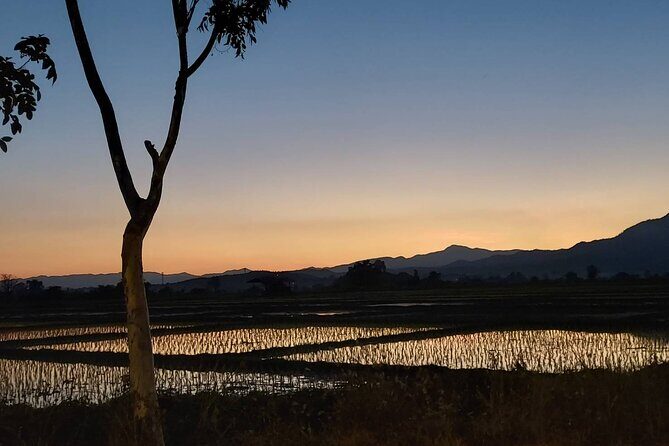 1 Day Trekking in Chiang Mai - Price and value: what you’re really paying for