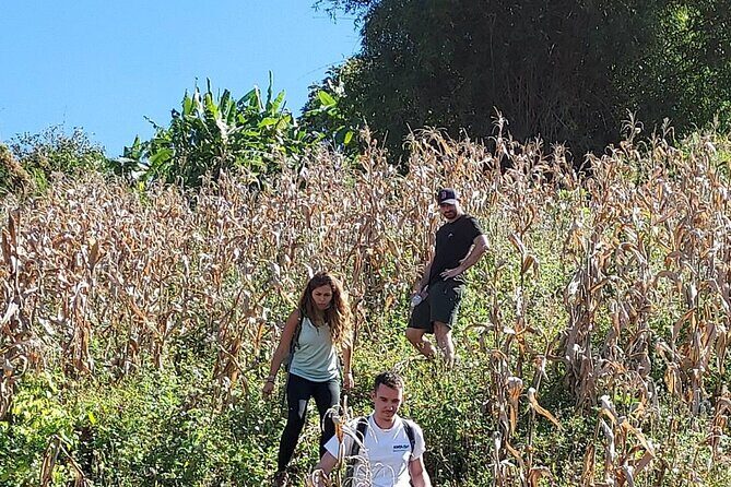1 Day Trekking in Chiang Mai - Who should book this 1-day trekking experience