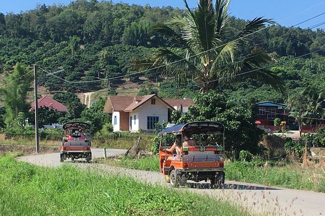 11 Day Tuk Tuk Adventure in Northern Thailand - Day-by-day: temples, Doi Inthanon trekking, elephants, and hill-tribe village time
