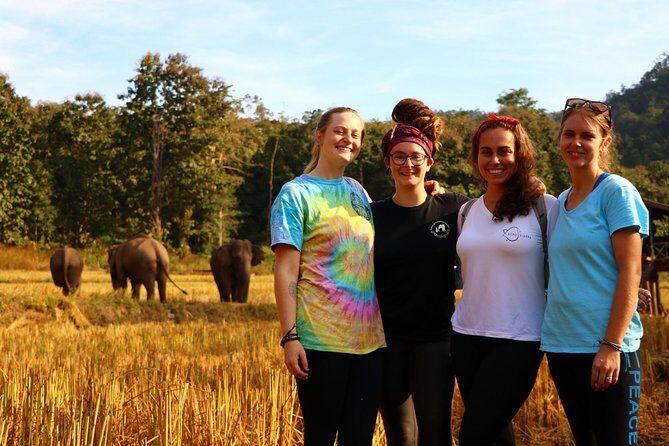 2-Day Kindred Spirit Elephant Sanctuary in Chiang Mai - Conservation reality check: what to ask when ethics are complex