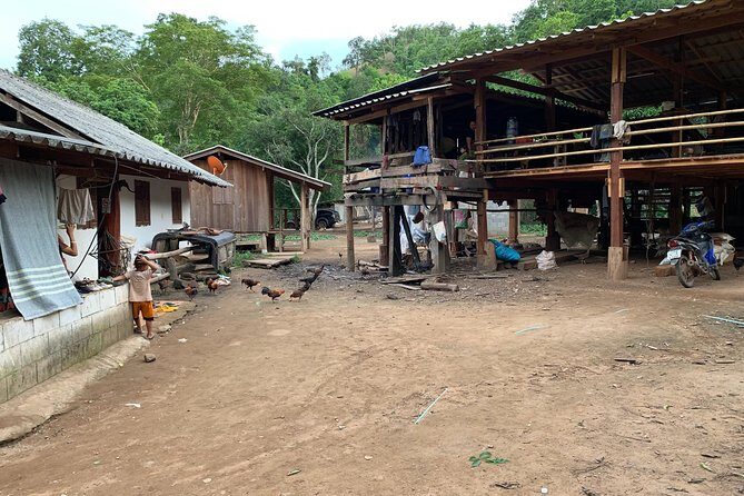 2-Day Kindred Spirit Elephant Sanctuary in Chiang Mai - Who should choose this elephant-and-village tour