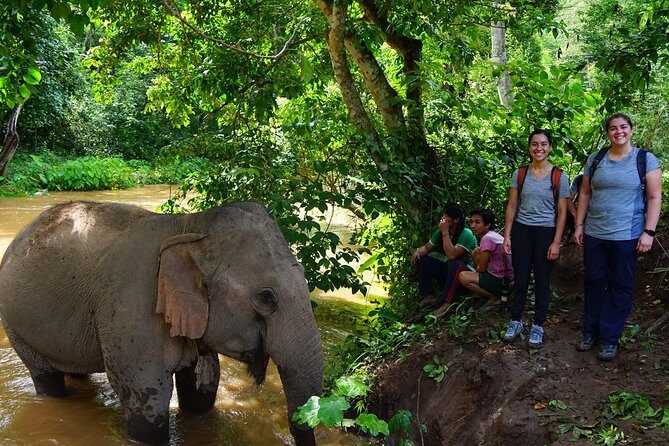 2-Day Kindred Spirit Elephant Sanctuary in Chiang Mai - Pickup from Chiang Mai and the Doi Inthanon drive