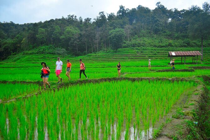 2 Days Hiking Tour in Chiang Mai - Guides make it: Dali and Fern, and why plant knowledge changes the hike