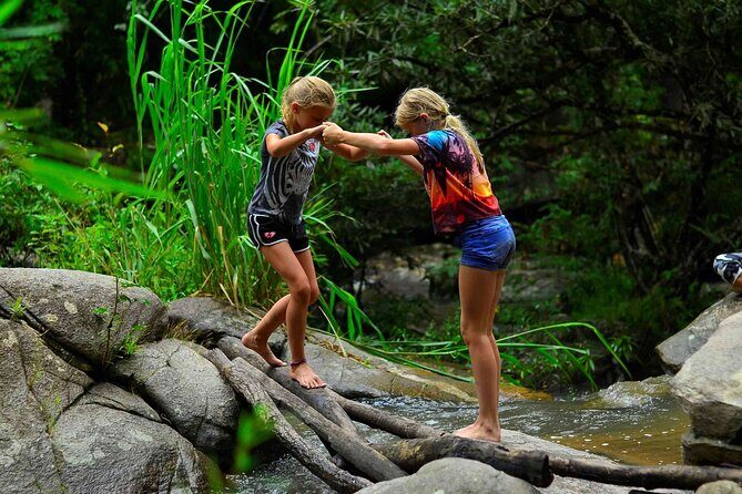 2 Days Hiking Tour in Chiang Mai - Price and value: what $130.21 buys you in the real world