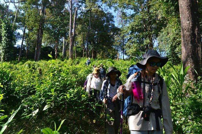 3-Day Chiang Dao Mountain Trek - Meals on the trail: guide-cooked Thai food beats guesswork