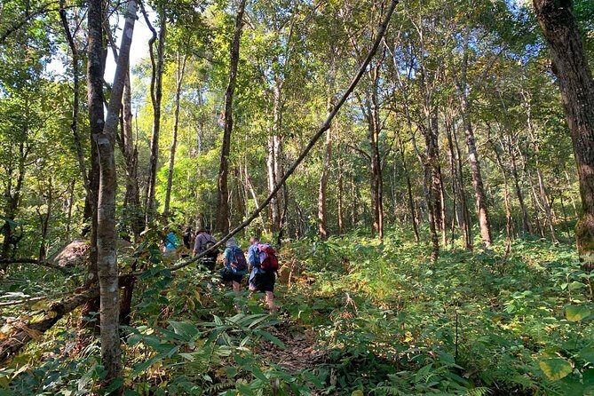 3-Day Chiang Dao Mountain Trek - How hard is it, really? Fitness and footwear you should take seriously