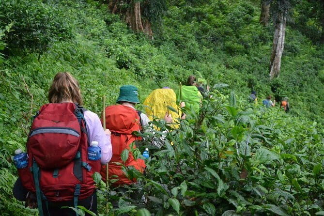 3 Day Motorcycle Tour (Mae Hong Son Loop) from Chiang Mai, Thailand - Motorbike comfort tips: licensing, gear fit, and long days
