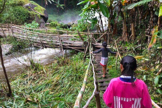 3-in-1: Doi Inthanon Tour, Elephant Sanctuary, and Trekking Trail - Phak Dok Seaw trail and Pha Dok Seaw waterfall: where your shoes matter