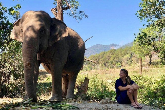 3-in-1: Doi Inthanon Tour, Elephant Sanctuary, and Trekking Trail - Ban Mae Klang Luang: coffee, community, and a calmer finish