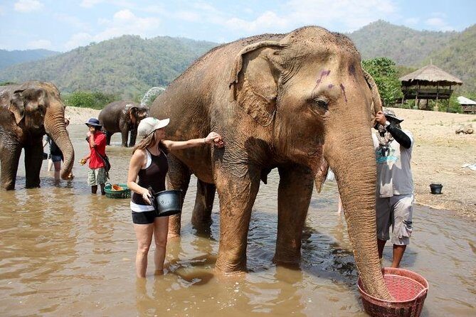 3D2NTrek Adventure at Chiang Mai Mea Wang Including Overnight at Karen Hilltribe - Bamboo Rafting at Mae Wang: Short Ride, Big Fun