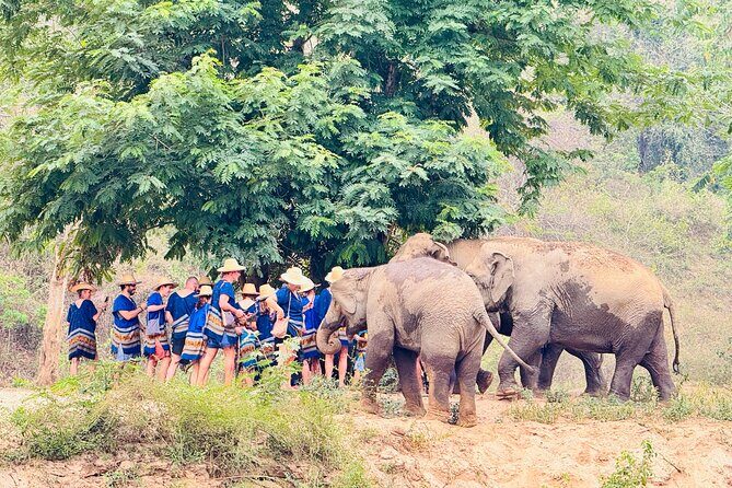 4 in 1 Elephants Long Neck Rafting and Sticky Waterfall Tour - Price and value: is $88.01 a fair deal?