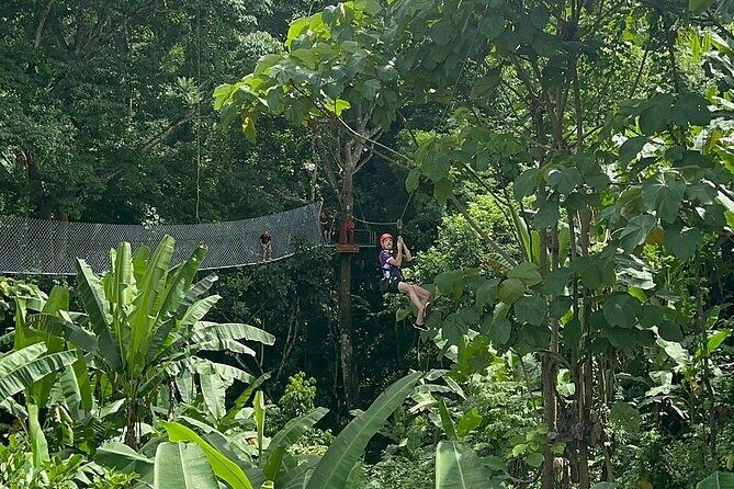 7 Hour Sticky Waterfall and Zipline Adventure - 9:00 AM start, about 7 hours, and a pace that stays active