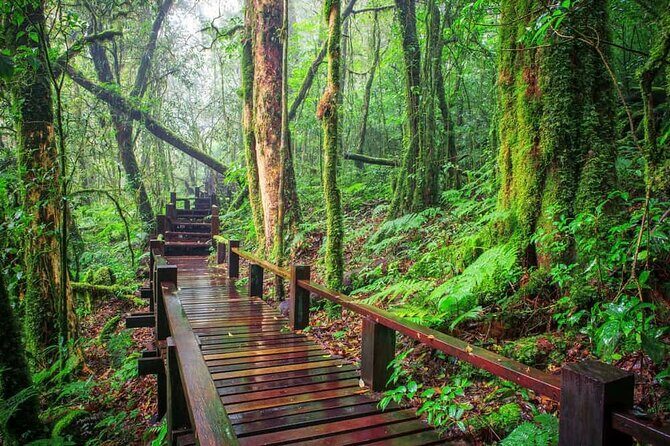 A Day Trip to Doi Inthanon Escape to Nature - Wachirathan Falls: your first big scenery payoff