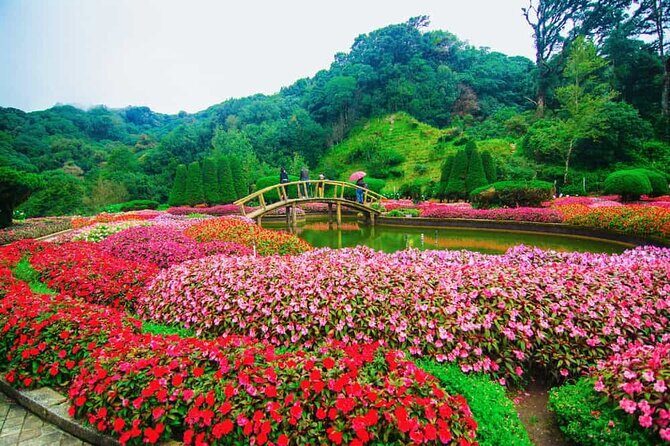 A Day Trip to Doi Inthanon Escape to Nature - Park walking time: waterfalls and forest trails without the ordeal