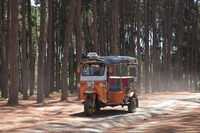 A stunning 11 Day Tuk Tuk Adventure in Northern Thailand - with driver - Day 3–4: Doi Inthanon’s highest-mountain roads and a Karen village evening