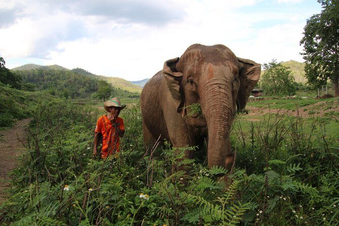 A stunning 11 Day Tuk Tuk Adventure in Northern Thailand - with driver - Price and value: what $2,148.21 buys you (and what you’re paying for)