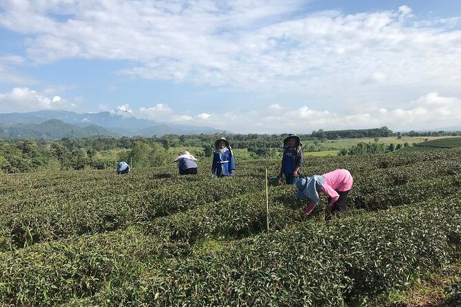 Best 2-Day: Explore Chiang Rai Landmarks from Chiang Mai, Private Trip - Overnight Stay: One Night That Makes the Second Day Easier