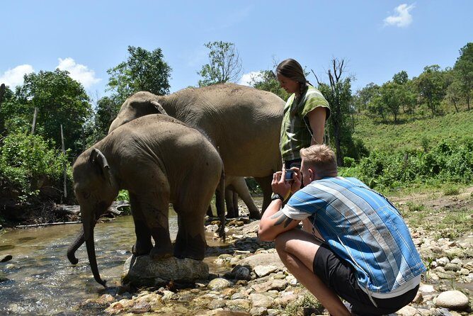 Care Pride Elephants: Full-Day Tour Experience - Who should book this elephant day, and who should pass