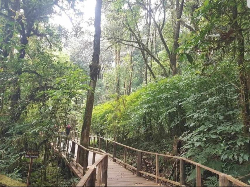 Chang Mai: Doi Inthanon Day Tour w/Waterfalls & Hilltribes - King’s and Queen’s Pagodas: where architecture meets mountain views