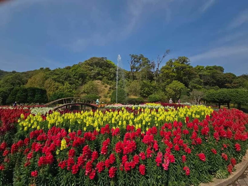 Chang Mai: Doi Inthanon Day Tour w/Waterfalls & Hilltribes - Small group comfort: up to 12 people, English guide, and safe driving