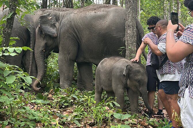 Chiang Mai 1 Day: Elephant Sanctuary, Waterfall & Bamboo Rafting - Key highlights