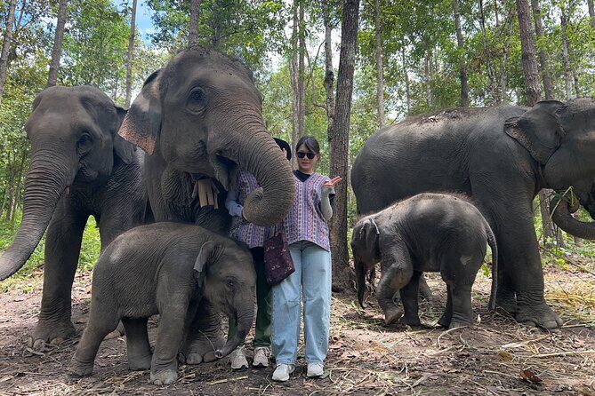 Chiang Mai 1 Day: Elephant Sanctuary, Waterfall & Bamboo Rafting - Mae Saphok Waterfall Lunch: A Nice Reset After Elephants