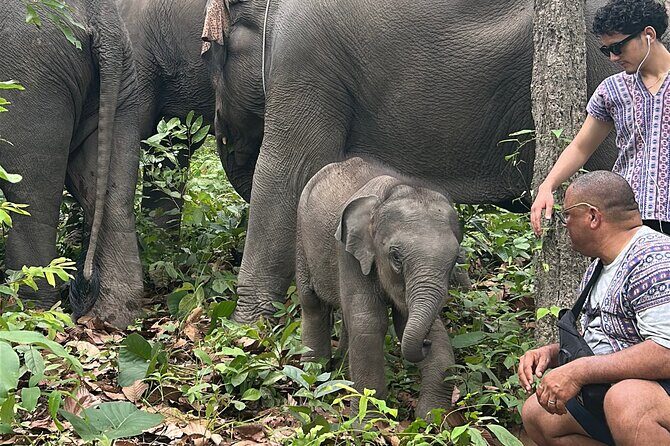 Chiang Mai 1 Day: Elephant Sanctuary, Waterfall & Bamboo Rafting - Bamboo Rafting Down River: Relaxed, Scenic, and Time Well Spent