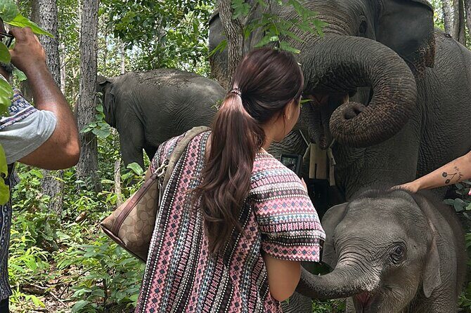 Chiang Mai 1 Day: Elephant Sanctuary, Waterfall & Bamboo Rafting - Price and Value: What You Actually Get for $77.99