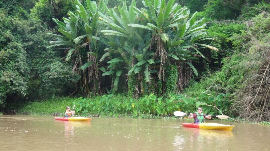 Chiang Mai: 15 km Leisure River Kayaking at Mae Ngat forest - Quick Answers Before You Go: Key Points