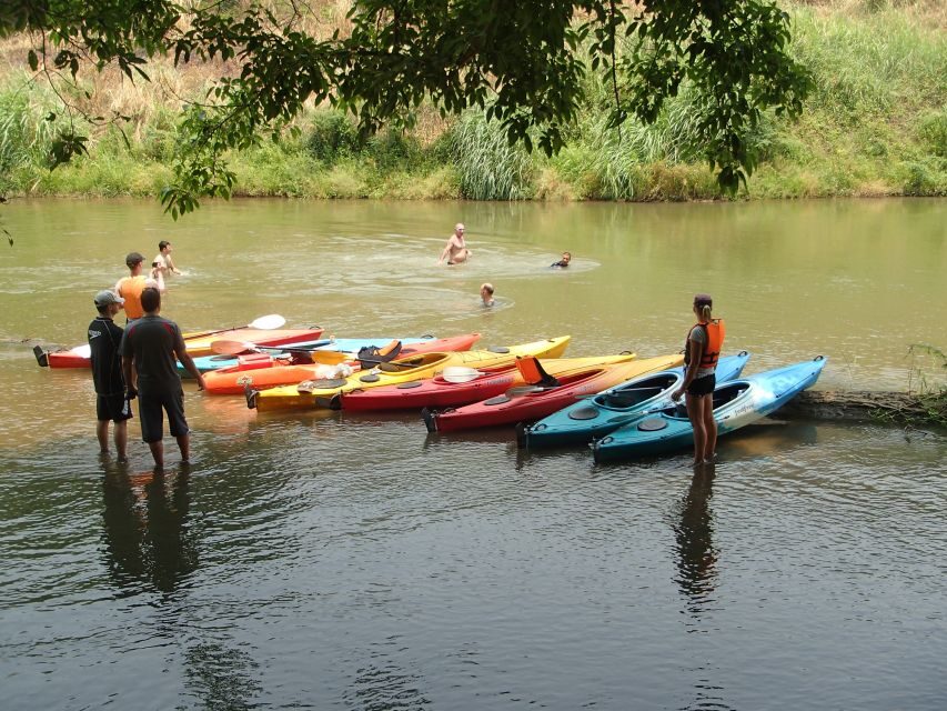 Chiang Mai: 15 km Leisure River Kayaking at Mae Ngat forest - Mae Taeng Forest Reserve: Where Shade Changes the Mood