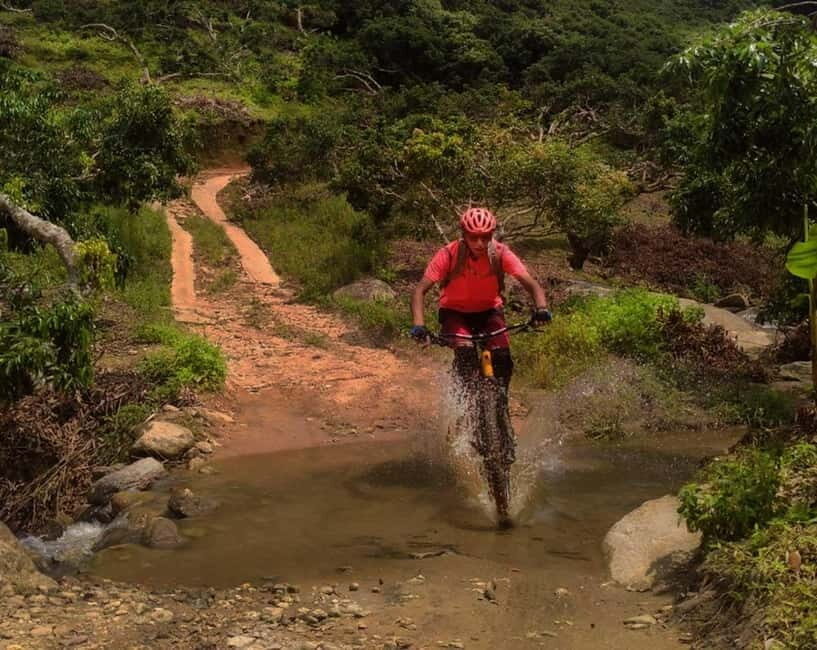 Chiang Mai: 20km Downhill Mountain Biking Challenge Suthep M - Key things I’d bet money on