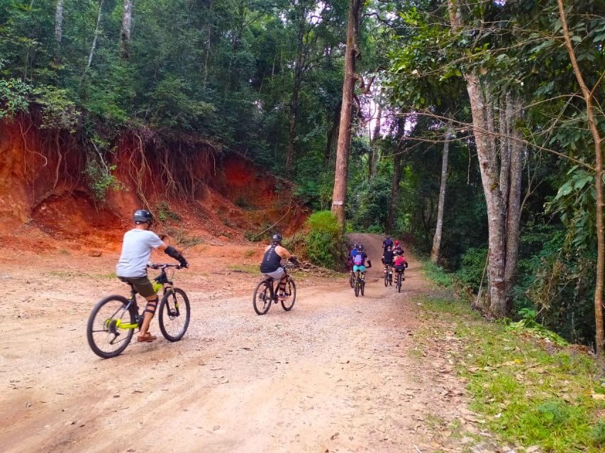 Chiang Mai: 20km Downhill Mountain Biking Challenge Suthep M - Should you book this Doi Suthep downhill ride?