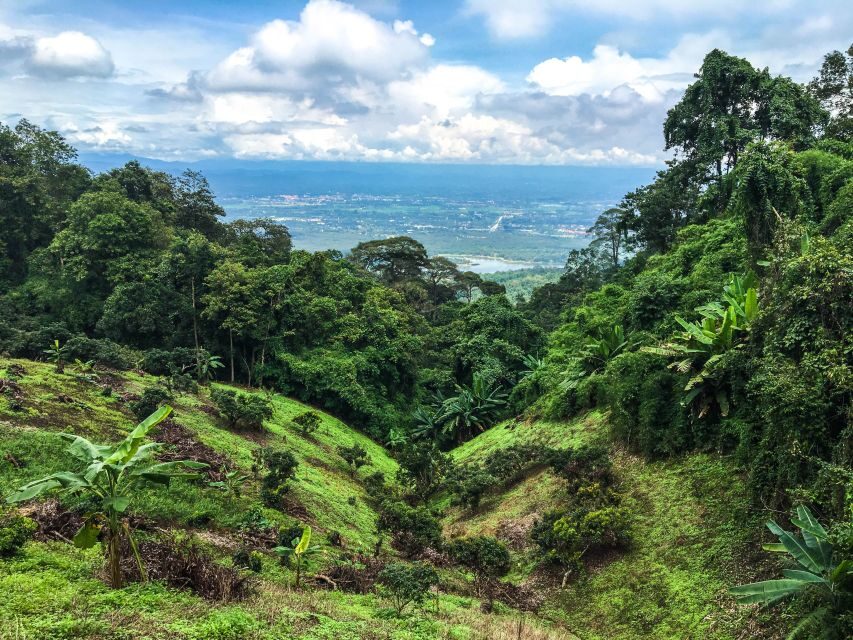Chiang Mai: 20km Downhill Mountain Biking Challenge Suthep M - Stop-by-stop: what each part of the day feels like