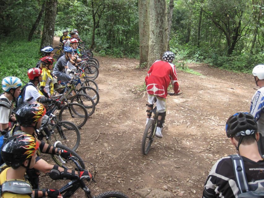 Chiang Mai: 20km Downhill Mountain Biking Challenge Suthep M - The guide team is the difference between scary and fun