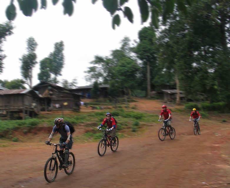 Chiang Mai: 20km Downhill Mountain Biking Challenge Suthep M - Price and value: $60 buys a lot, plus one extra cost