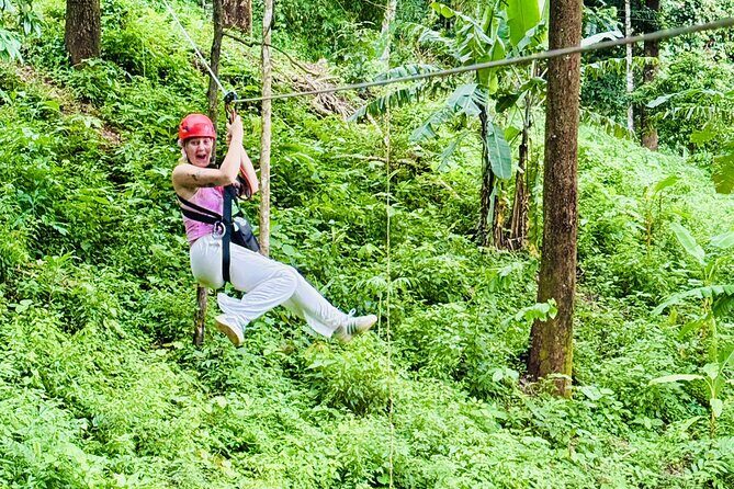 Chiang Mai 3 in 1 Zipline, Elephants and Sticky Waterfall - Pickup and direct transfers: less town time, more adventure time
