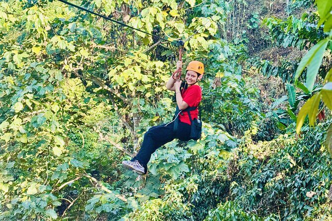 Chiang Mai 3 in 1 Zipline, Elephants and Sticky Waterfall - Elephant sanctuary time: rescued elephants, feeding, and caretaker stories