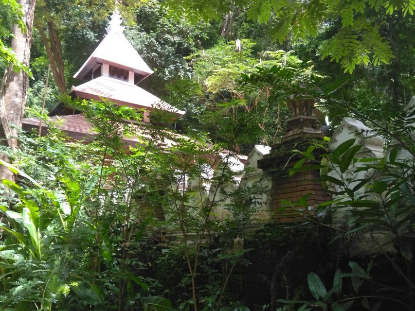 Chiang Mai: 7-Hour Doi Suthep National Park Summit Hiking - Getting back down: truck support and second chances at the views