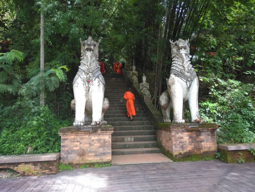 Chiang Mai: 7-Hour Doi Suthep National Park Summit Hiking - Entering the monk-trail day: what this hike is really like