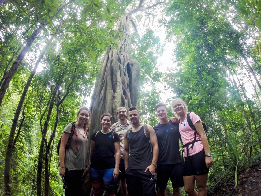 Chiang Mai: 7-Hour Doi Suthep National Park Summit Hiking - Wat Doi Suthep climb: 2 hours that get your legs warmed up
