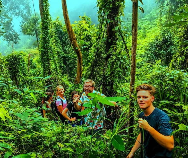 Chiang Mai: 7-Hour Doi Suthep National Park Summit Hiking - Doi Suthep–Pui National Park trek: where the jungle takes over