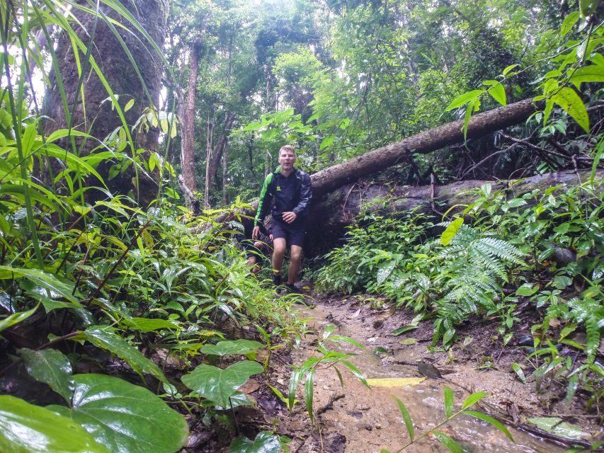 Chiang Mai: 7-Hour Doi Suthep National Park Summit Hiking - Lunch on the mountain: plan for late-and-filling