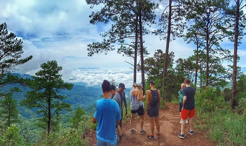 Chiang Mai: 7-Hour Doi Suthep National Park Summit Hiking - Pickup, van ride, and the quick orientation that actually helps