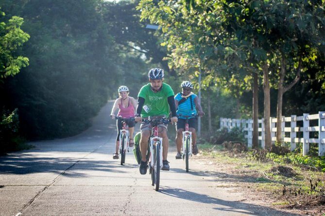 Chiang Mai Active E-bike Countryside Ride - Key things to know before you pedal