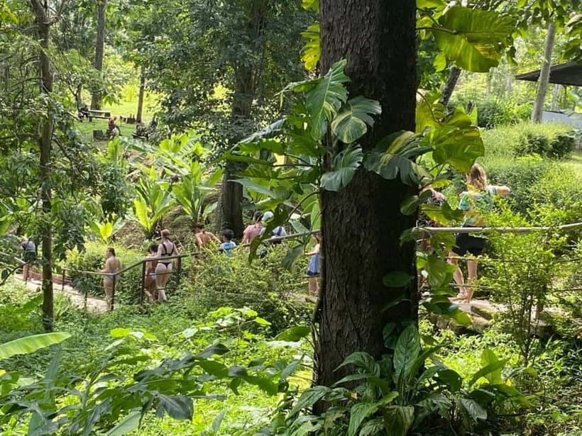 Chiang Mai: Afternoon Bua Tong Sticky Waterfall by Red Taxi - The drive through Chiang Mai’s countryside and rice fields