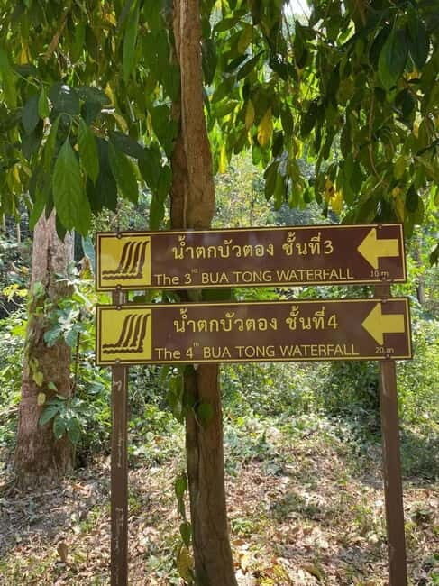 Chiang Mai: Afternoon Bua Tong Sticky Waterfall by Red Taxi - How long you’ll spend at the falls (and what to do during that time)