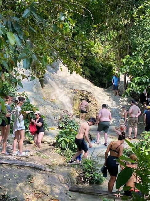 Chiang Mai: Afternoon Bua Tong Sticky Waterfall by Red Taxi - Afternoon timing and pickup: how the schedule stays easy