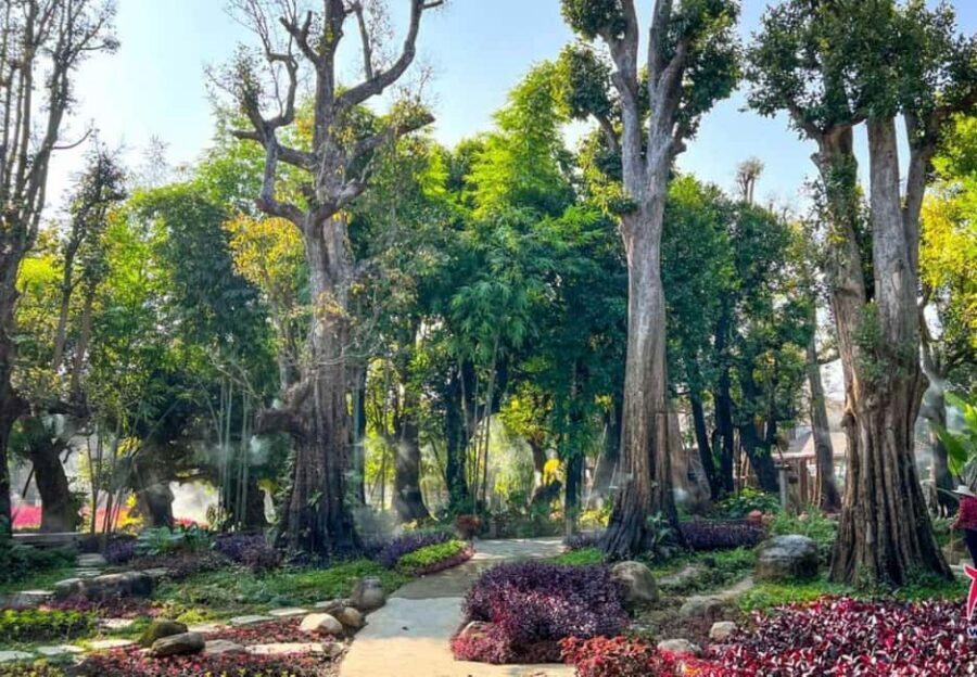 Chiang Mai: Angel Waterfall & Sticky Waterfall & Wat Ban Den - Bua Thong Sticky Waterfalls: The Grippy Climb That Works Your Body