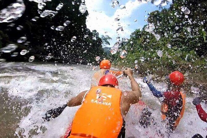 Chiang Mai ATV White Water Rafting and Elephant Sanctuary Full-Day Trip - Boon Led Elephant Sanctuary: What You Learn About Digestion and Herbs