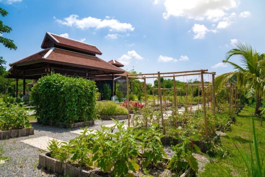Chiang Mai: Authentic Cooking Class with Market & Farm Visit - Farm-to-Market Cooking That Feels Like a Real Local Day